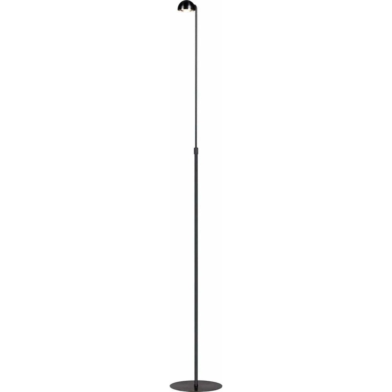 Horoscope LED Floor Lamp