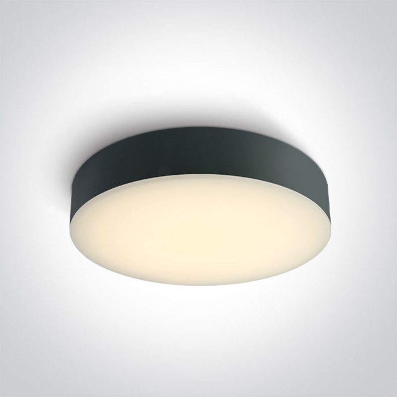 ANTHRACITE PLAFO 20W CCTV IP65 230V One Light 67498/AN/V