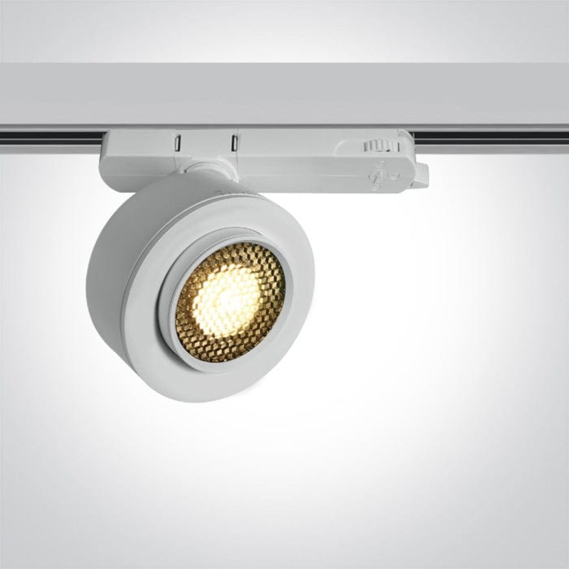 3 Circuit White 18W LED zoomable track spotlight 15-45 with removable honeycomb.Complete with 450mA driver.  One Light SKU:65662AT/W/W
